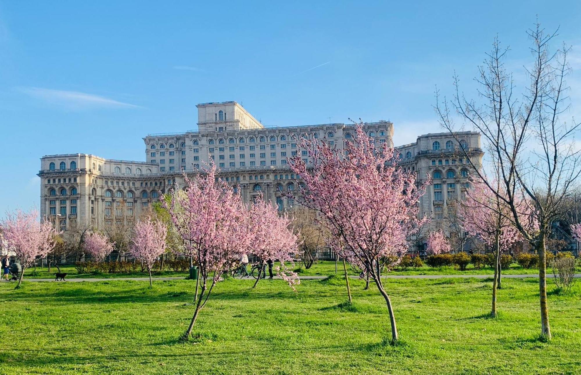 Chic Apartment Piata Constitutiei - View From The Balcony To The Palace Of Parliament Bucarest Esterno foto